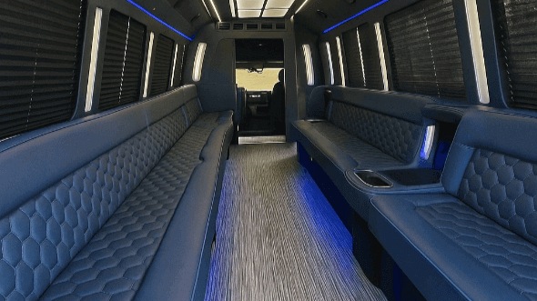 20 passenger party bus interior