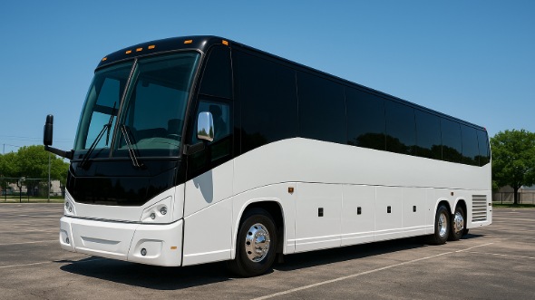 40 passenger party bus